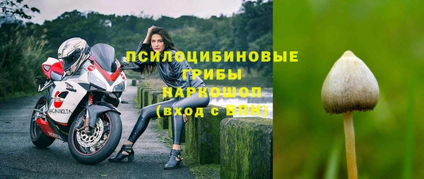 MESCALINE Алзамай