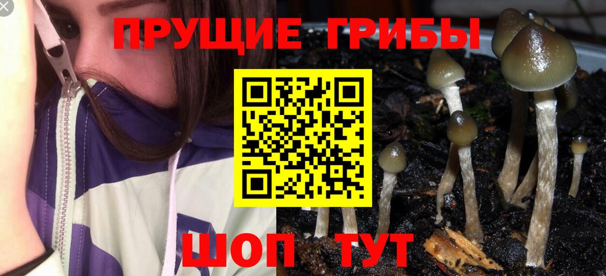 Псилоцибиновые грибы Magic Shrooms Жуковский
